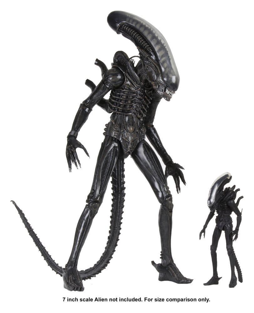 Alien 1/4 Figura Big Chap 56 cm · NECA - Imagen 13