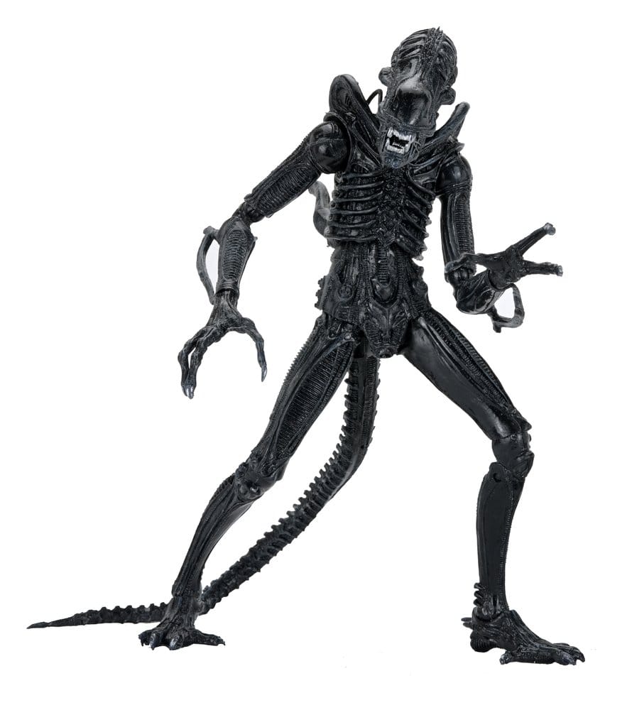 Aliens Ultimate Figura Warrior (1986) Xenomorph Black (40th Anniversary) 23 cm · NECA